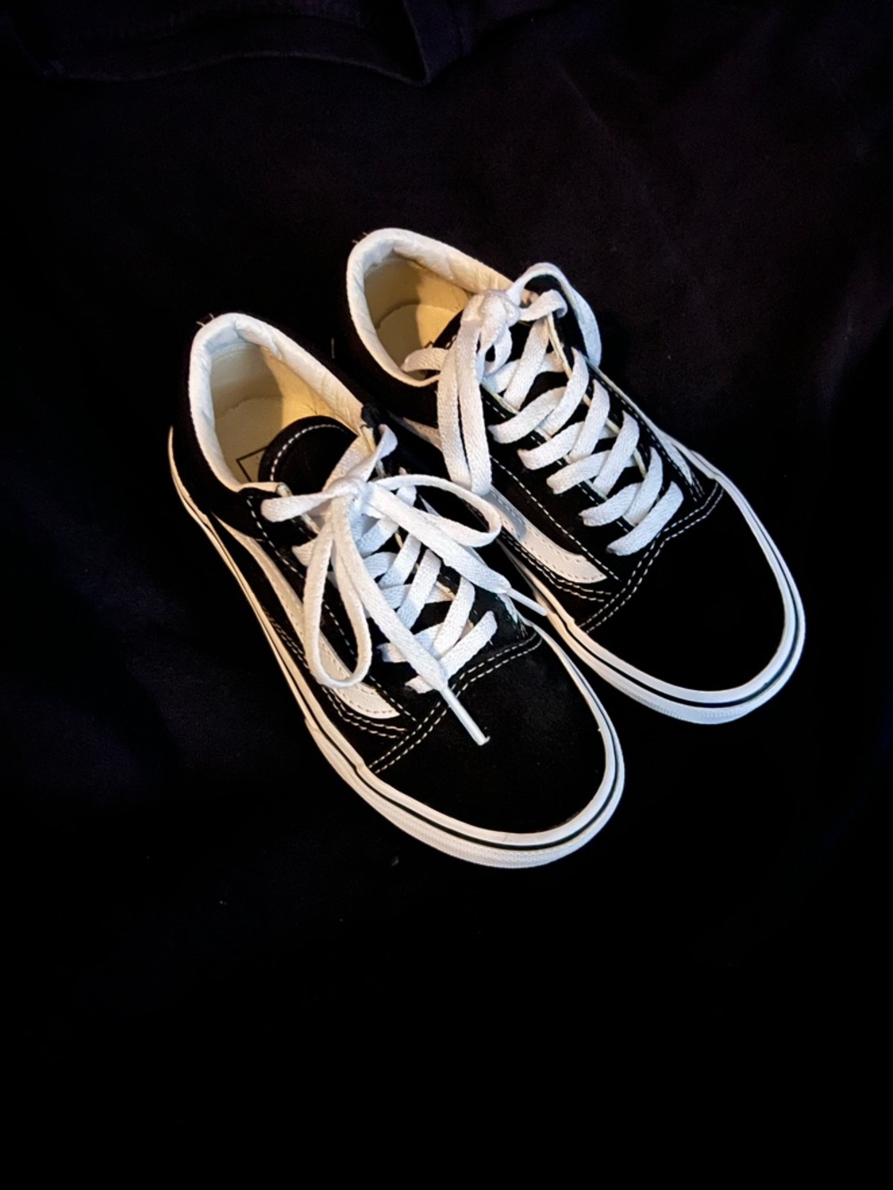 Vans Black and White Low-Top Skate Sneakers
